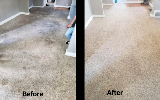 Carpet Cleaning